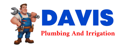 Trusted plumber in LUMMI ISLAND